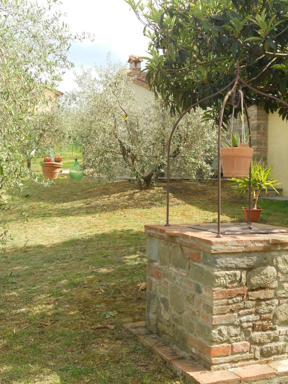 Pensjonat Selva Degli Ulivi Foiano Della Chiana Zewnętrze zdjęcie