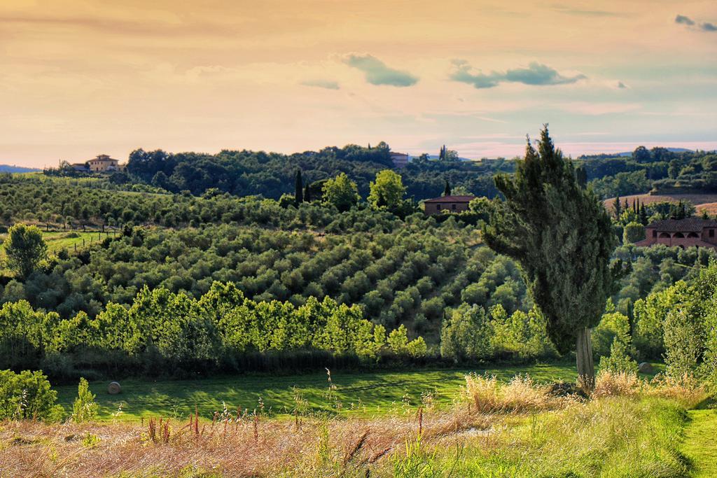 Pensjonat Selva Degli Ulivi Foiano Della Chiana Zewnętrze zdjęcie